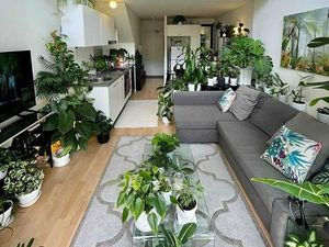 Lakukan 3 Cara Alami Ini untuk Ciptakan Udara Segar di Rumah