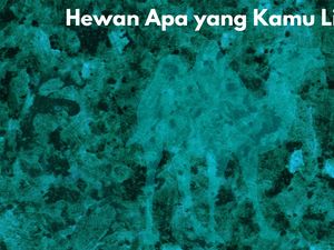 Bisa Lihat Hewan di Gambar Ini? Tandanya Kamu Tidak Buta Warna