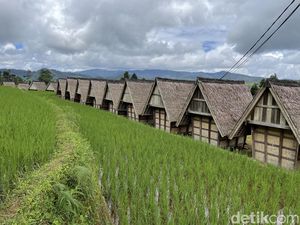 Ciptagelar, Ada Nasi Organik Istimewa, Tak Dijual dan Gratis buat Tamu