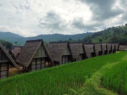 Kisah Kidang & Kerti Rasi Bintang Penunjuk Waktu Menanam Padi di Ciptagelar