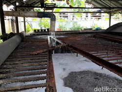 Mengenal Biomassa Adalah: Jenis, Manfaat, dan Contoh Penggunaan