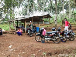 Viral Polisi Patroli Dikepung Warga di Perkebunan Pakel Banyuwangi