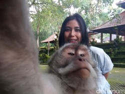 Seharian di Ubud, Enaknya ke Mana Ya?