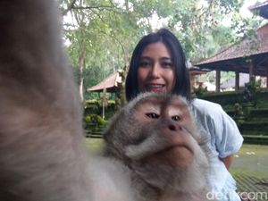 Seharian di Ubud, Enaknya ke Mana Ya? Seharian di Ubud, Enaknya ke Mana Ya?