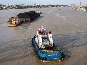 Orang Terkaya ke-18 RI Rugi Rp 3,7 T Gegara Dilarang Ekspor Batu Bara