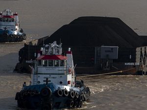 Jual Batu Bara ke PLN cs, Setoran Konglomerat Dipatok 14% Jual Batu Bara ke PLN cs, Setoran Konglomerat Dipatok 14%