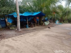 Setahun Berlalu, 117 KK Korban Gempa Majene Masih Huni Pengungsian