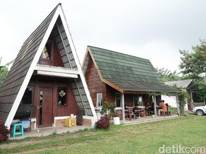 Asyik Banget Ngopi di Lereng Gunung Gede Pangrango Asyik Banget Ngopi di Lereng Gunung Gede Pangrango