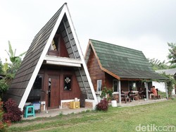 Adem! Ngopi dan Nongkrong di Kedai Kopi Pas di Kaki Gunung Gede Pangrango