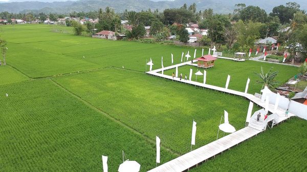 Menikmati Suasana Persawahan Kekinian di Gorontalo