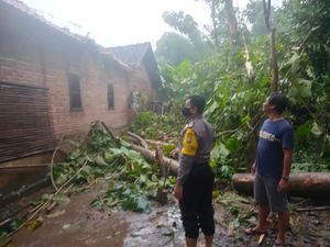 Hujan Angin Terjadi di Ponorogo, 7 Rumah Tertimpa Pohon-Antena Radio