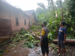 Hujan Angin Terjadi di Ponorogo, 7 Rumah Tertimpa Pohon-Antena Radio