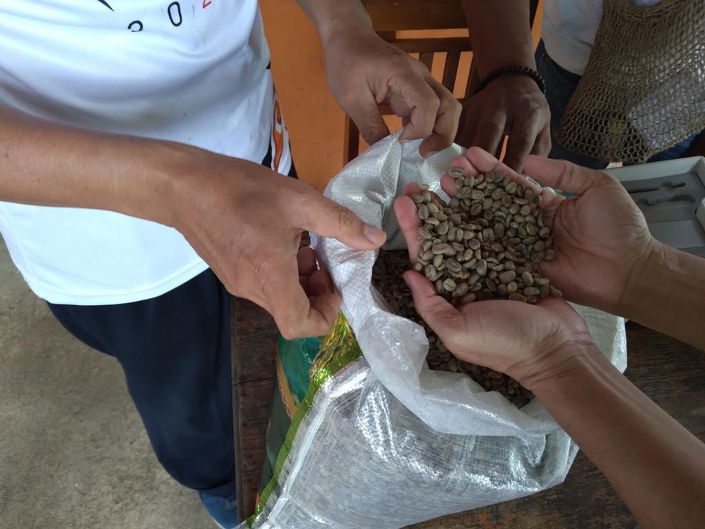 Sabar, Ya! Penerbangan Sulit Masuk Pedalaman, Stok Kopi Papua Minim Sabar, Ya! Penerbangan Sulit Masuk Pedalaman, Stok Kopi Papua Minim