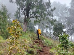 Perhatian! Buang Sampah Sembarangan di Gunung Rinjani Terancam Blacklist
