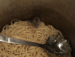 Hiii Jorok! Netizen Ini Temukan Tikus Hidup di Wadah Mie