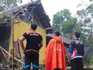 Pohon Tumbang Timpa Tiga Rumah Warga Trenggalek