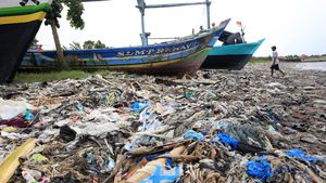 Begini Hamparan Sampah di Pantai Dadap Indramayu