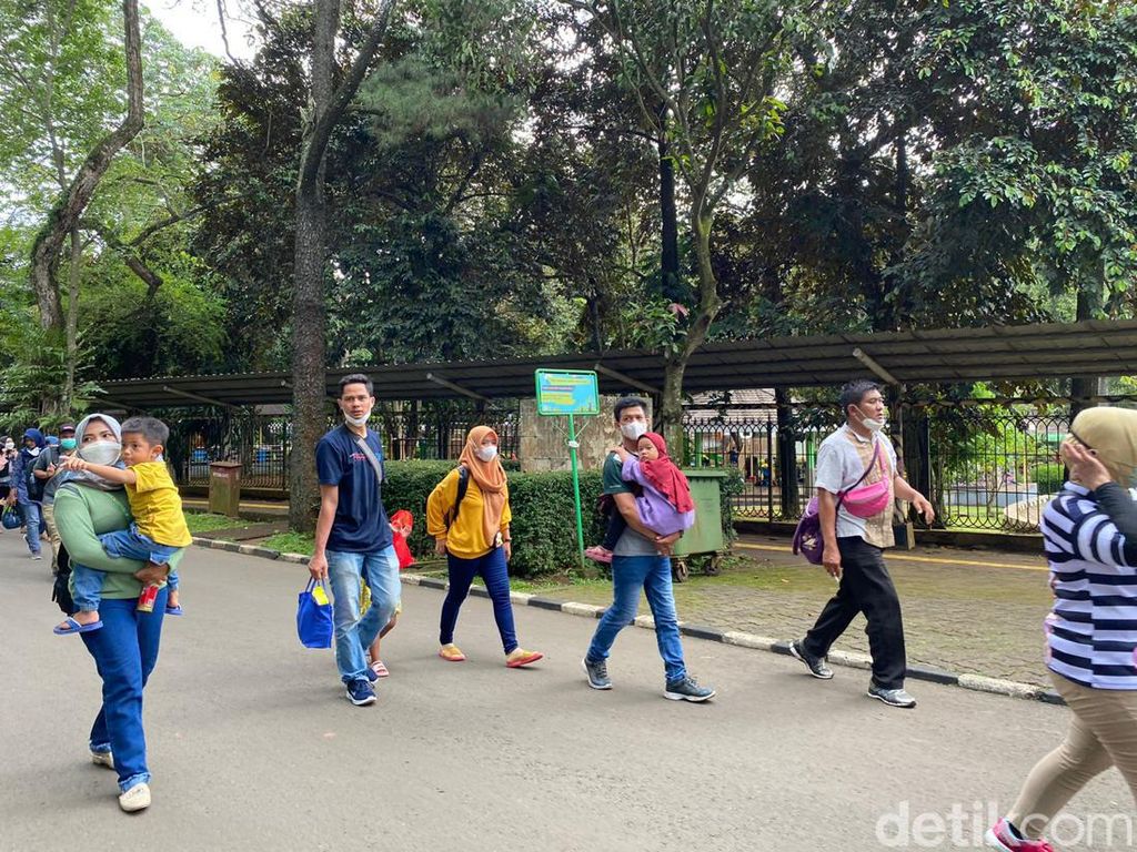 Imbas PPKM Level 2, Ragunan Turunkan Kapasitas Pengunjung Imbas PPKM Level 2, Ragunan Turunkan Kapasitas Pengunjung