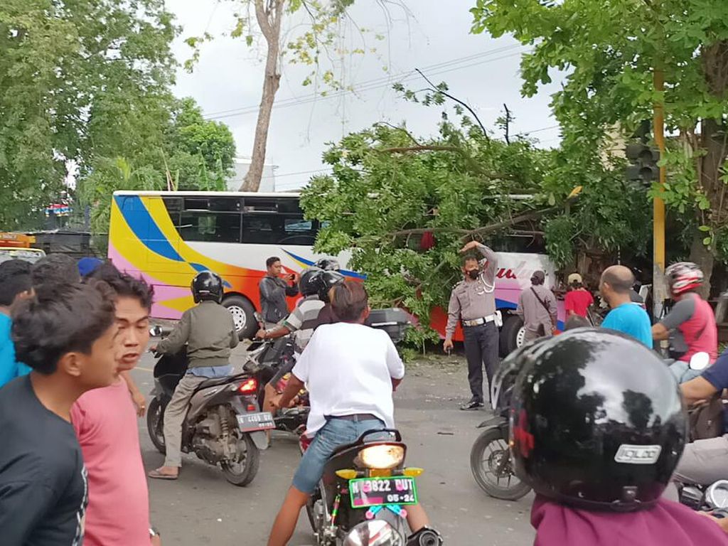 Tabrakan Libatkan 5 Kendaraan Kembali Terjadi di Probolinggo, 10 Luka-luka Tabrakan Libatkan 5 Kendaraan Kembali Terjadi di Probolinggo, 10 Luka-luka