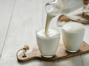 Hari Susu Sedunia Diperingati 1 Juni, Begini Sejarah dan Tujuannya Hari Susu Sedunia Diperingati 1 Juni, Begini Sejarah dan Tujuannya