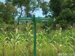 Di Balik Keunikan Dusun Janganmati, Sulit Air dan Sinyal