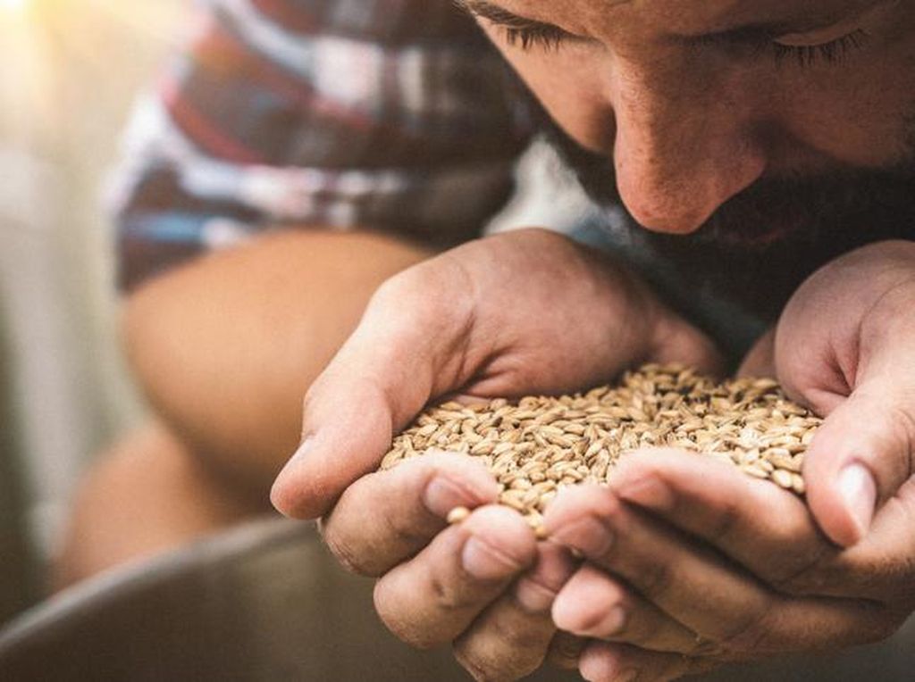 5 Fakta Barley, Biji-bijian Favorit Rasulullah SAW yang Kaya Nutrisi