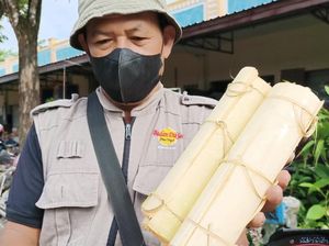 Digigit Renyah Rasanya Gurih Tempe Debogan Berbungkus Batang Pisang