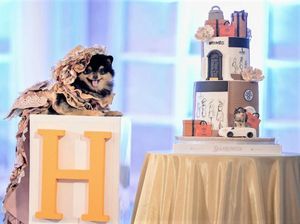 Mewah! Ultah Anjing Ini Habiskan Uang Ratusan Juta Rupiah