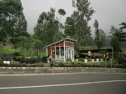 Sejuknya Panorama Bromo Tengger Ditemani Aroma Hangat Kopi Khas Pegunungan