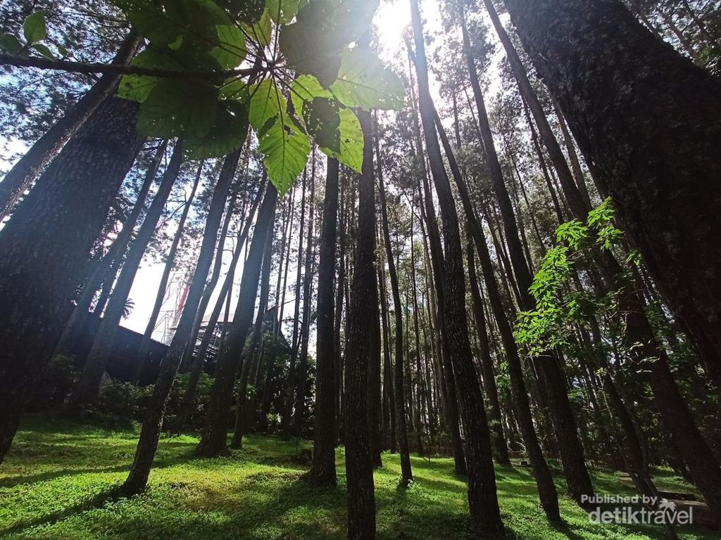 Solo Trip Seharian di Bandung Selatan, Seru! Solo Trip Seharian di Bandung Selatan, Seru!