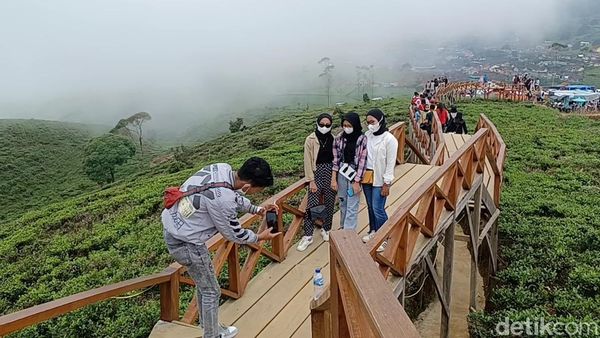 Potret Taman Langit Pangalengan, Sejuk dan Instagramable