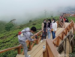 Ini Tempat Melepas Penat Baru di Pangalengan: Taman Langit