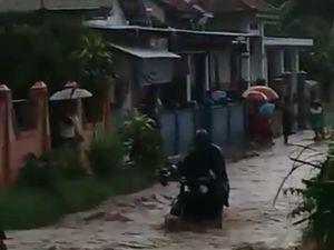 Probolinggo Diguyur Hujan Deras, Banjir-Pohon Tumbang di Sejumlah Wilayah