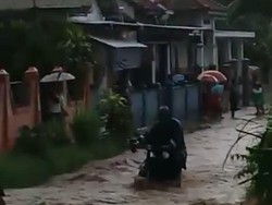 Probolinggo Diguyur Hujan Deras, Banjir-Pohon Tumbang di Sejumlah Wilayah