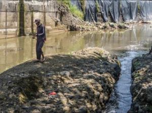 Hilangnya Ikan-Ikan Lokal di Sungai Kita Hilangnya Ikan-Ikan Lokal di Sungai Kita