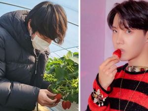 J-Hope Ngiler Liat Jin BTS Pamer Hasil Panen Strawberry di Kebun J-Hope Ngiler Liat Jin BTS Pamer Hasil Panen Strawberry di Kebun