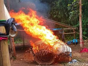 Judi Sabung Ayam di Banyuwangi Digerebek, Kurungan Ayam Dibakar Judi Sabung Ayam di Banyuwangi Digerebek, Kurungan Ayam Dibakar