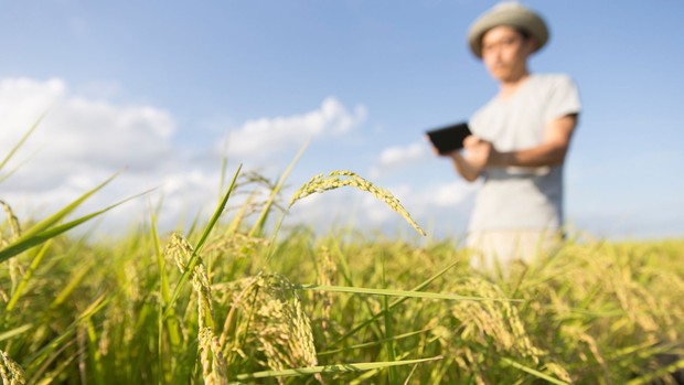 Jurusan SAINTEK Minim Perhitungan/ Foto: Canva/okugawa Jurusan SAINTEK Minim Perhitungan/ Foto: Canva/okugawa