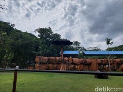 Pengunjung Sebut KBS Tak Banyak Berubah, Cuma Lebih Bersih dan Adem Saja