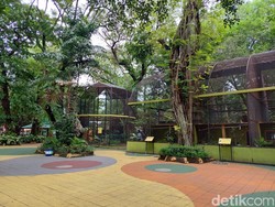 DPRD Surabaya Soroti KBS soal Jumlah Satwa hingga Tempat Parkir