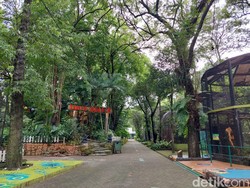 Tak Ada Gebrakan Mencolok di KBS dalam Beberapa Tahun Terakhir