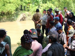 Buaya di Sumbar Diburu Setelah Terkam Bocah Perempuan