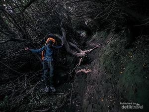 7 Mitos Seram Gunung Kerinci, Dijaga oleh Manusia Harimau? 7 Mitos Seram Gunung Kerinci, Dijaga oleh Manusia Harimau?