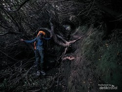 7 Mitos Seram Gunung Kerinci, Dijaga oleh Manusia Harimau?