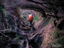 7 Mitos Seram Gunung Kerinci TKP Jatuhnya Heli Kapolda Jambi