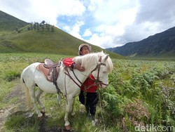Curhat Subianto, Pemandu Kuda di Bromo Saat Pandemi