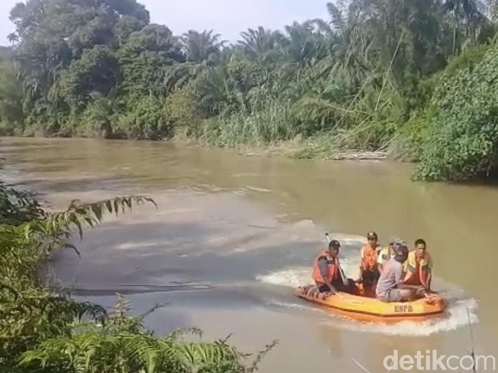 Bocah Hilang Diterkam Buaya, Sungai Batang Masang Kerap Telan Korban