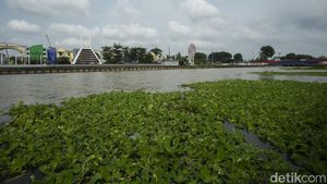 Asyik... Bekasi Punya Wisata Sungai yang Kece Seperti di Korea
