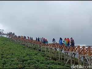 Panduan Wisata dan Rute ke Taman Langit Pangalengan di Bandung Panduan Wisata dan Rute ke Taman Langit Pangalengan di Bandung