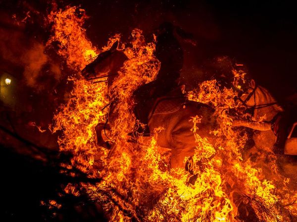 Tradisi Menembus Kobaran Api Untuk Menyucikan Kuda